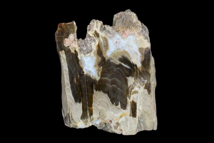 Polished Petrified Wood (Cherry) Stand-up - McDermitt, Oregon #172094